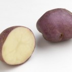 Pomme de terre bleue d'Auvergne