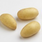 Pomme de terre Grenaille