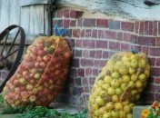 Comment fait-on du cidre artisanal en video