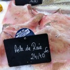 Raie - Aile de raie