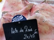 Raie – Aile de raie