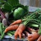 Légumes d'hiver Légumes d'hiver