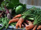 Légumes d'hiver Les produits de saison : mars
