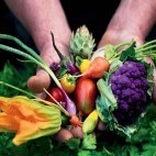 Les légumes de Joël - Patrick et Lyndsay Mikanowski, Joël Thiébault Les légumes de Joël - Patrick et Lyndsay Mikanowski, Joël Thiébault