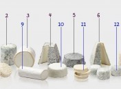 Devinettes fromages de chèvres Devinette : Saurez vous identifier ces fromages ?