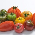 Tomates saveurs d'Antan @Prince de Bretagne / Expression