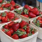 Barquettes de fraises Barquettes de fraises