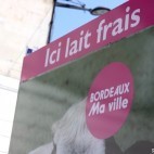 Ici lait frais