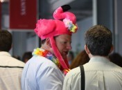Flamant rose ?