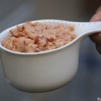 Rillettes de haricots blancs aux tomates confites