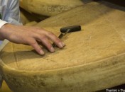 Pour produire un bon Comté  il faut …
