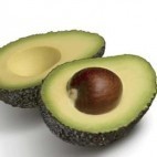 Avocat Hass