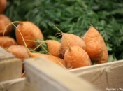 Carottes Visite de Rungis : Le pavillon des fruits et légumes : Les légumes
