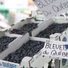 Bleuets du Quebec