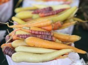 Carottes arc en ciel ou carottes rainbow