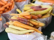 Marché Jean Talon, Montréal : promenade en photos