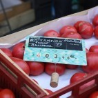Tomates Watermelon beesteack Tomates Watermelon beesteack