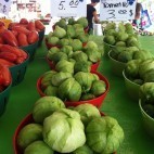 Tomatillo - Marché Jean Talon, Montréal