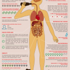 Effet sur soda sur l'organisme