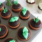 Plantation de cupcakes