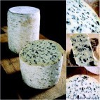 Fourme d'Ambert - Fromage d'Auvergne