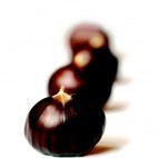 Marrons du Périgord