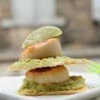 Millefeuille de Saint Jacques et guacamole ©Anne Latailllade - Papilles et Pupilles -