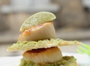 Millefeuille de Saint Jacques et guacamole ©Anne Latailllade - Papilles et Pupilles - Mille-feuille croustillant de noix de Saint Jacques et avocat {Millefeuille}