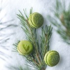 Macaron Sapin Frédéric Cassel