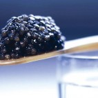 Caviar dans cuillère