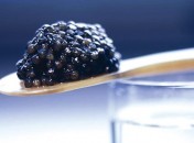 Caviar dans cuillère Caviar d’Aquitaine – Maison Prunier – Episode 2 : Les différentes variétés et le salage.