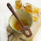 Spatule thermomètre