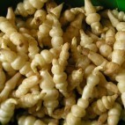 Crosnes