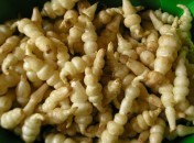 Crosnes Crosnes