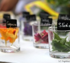 Fleurs comestibles