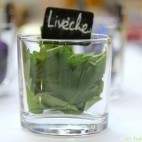 Livèche Livèche