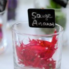 Fleurs comestibles - La Sauge ananas