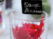 Fleurs comestibles – La Sauge ananas
