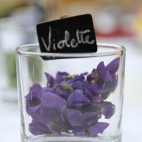 Fleurs comestibles - les Violettes