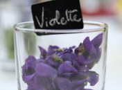 Fleurs comestibles - les Violettes Fleurs comestibles – les violettes