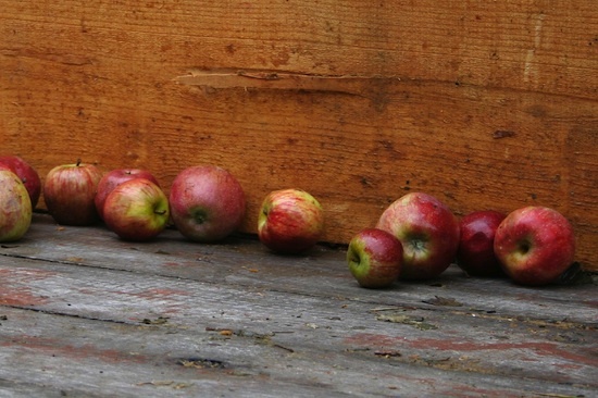 Pommes à cidre ©zizzybaloobah CC BY-NC 2.0.jpg