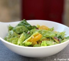 Salade hivernale à l'avocat, orange, oignon rouge et salade romaine