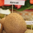 Abricot (exotique)