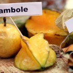Carambole
