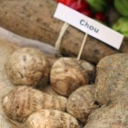 Chou (exotique)