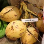 Coco Frais