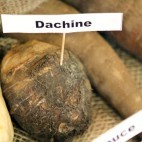 Dachine