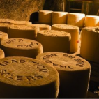 Fromage tradition Salers