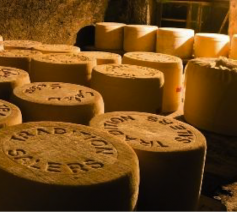 Fromage tradition Salers