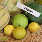 Goyave